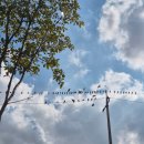 시흥-정왕-시흥-033 | 033. 온가족 감기를 곁들인 10월 말의 일상 😷