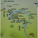 광천-비상-8 이미지