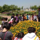 일자산자연공원(허브천문공원) 이미지