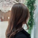 인헤어 이미지