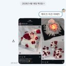 햅투유 | 웨딩촬영 소품 생화케이크 후기│준비 방법 , 가격 , 촬영 꿀팁 총정리