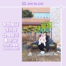 부천에서 아기와 산책하기 좋은 곳 -부천 산울림 청소년 수련관(feat. 닥터다이얼 올인원 아기띠)