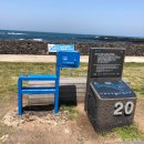 흑백돈 | 여자혼자제주한달살기 11일차 | 김녕해수욕장 | 함덕 흑돼지 무한리필 <흑백돈> 솔직후기 | 오드랑베이커리