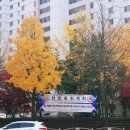 강남하늘부동산공인중개사사무소 이미지