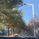 소풍농월 | 파주 아늑한 감성카페 추천[소풍농월]