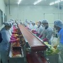 최선영농조합법인 이미지