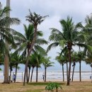 베트남 다낭의 비 내리는 바닷가 풍경 이미지