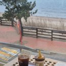 제부로 | [카페/경기 제부도] 비눗방울 주는 제부도 카페 '제부록' 후기 (내돈내산)