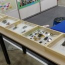 스타농장 이미지