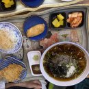 월영동105 | [마산-월영동] 월영돈카츠 내돈내산 솔직후기