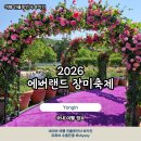화장품랜드21 | 2026 에버랜드 장미축제 기간 포토존 자유이용권 예매 꿀팁 총정리