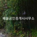 곡성-165 이미지