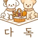 다독DADOG
