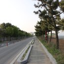 속초해변(남문) 이미지