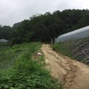 새말목장 이미지