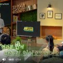 최강합기도 천지관 이미지