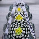 초이플라워 이미지