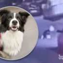 이지동물병원 이미지