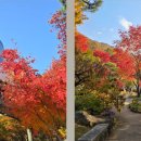 남동요양원 이미지