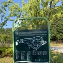 천생산 공중화장실 | 구미 다온숲 | 수국 실시간 | 쓰레기 매립장의 대변신 | 산책로 예쁜 천생산 공원 | 구미 가볼만한 곳