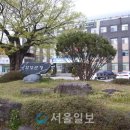 한들로 이미지