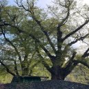 뒷뜰이예쁜집 이미지