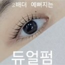 오늘;속눈썹
