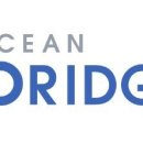오션브릿지 이미지
