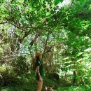 (주)어스텝퍼더 | 천국의계단을 홈트로! 멜킨 프로마운틴플러스 스텝퍼(스탭퍼) 찐후기