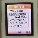 뭐? 유튜브에서 이제 더이상 볼게 없다구? 이 채널은 어때? (유튜버 추천) 이미지