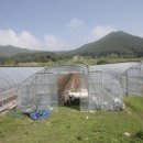 주천면 내송마을 네이버블로그