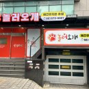 놀러오개 애견유치원 애견호텔 강남점 이미지
