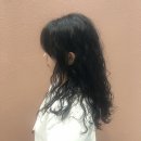 샵일구구공 이미지