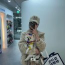 부산 벡스코 블리와 다녀온 반려동물 박람회 2025 PET&amp;MORE 후기
