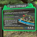 장영펜션 네이버블로그
