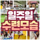 고려태권도장 | 가능동태권도 의정부태권도 의정부동태권도 흥선동태권도[경기태권도장] 일주일 수련내용 공개