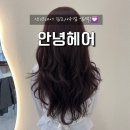 바이올렛 | 김포 사우동 미용실 안녕헤어 김포사우점 레드바이올렛 염색 후기