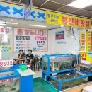 동진횟집 | 주문진물회맛집, 소문은 없지만 맛은 확실한 곳 내돈내산 동진네횟집