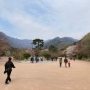 설악산상회 이미지