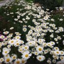 문교농장 이미지