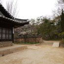 한국민속촌 Daum카페