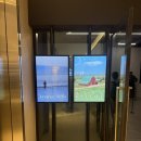 (주)디자인주해 | [리뷰] 영화같은 일상의 찰나 콜라주 아티스트 2025 알렉스키토전