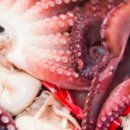 저도 임시주차장 이미지