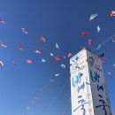 하모리-25 | 2025 제25회 최남단 모슬포 방어축제 후기