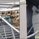 옥서스이엔지 이미지