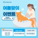 멍이랑냥이랑 Daum카페