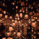 바이오랩 | 교토 팀랩 바이오보텍스 전시 후기와 관람 팁 총정리