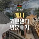 지구마블 | 기린 센터, 지라프 센터(GIRAFFE CENTER) 방문 후기(feat. 지구 마블 세계여행 2) | 케냐 가볼만한곳