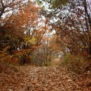 새솔학교 이미지