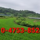 땅나라공인중개사사무소 이미지